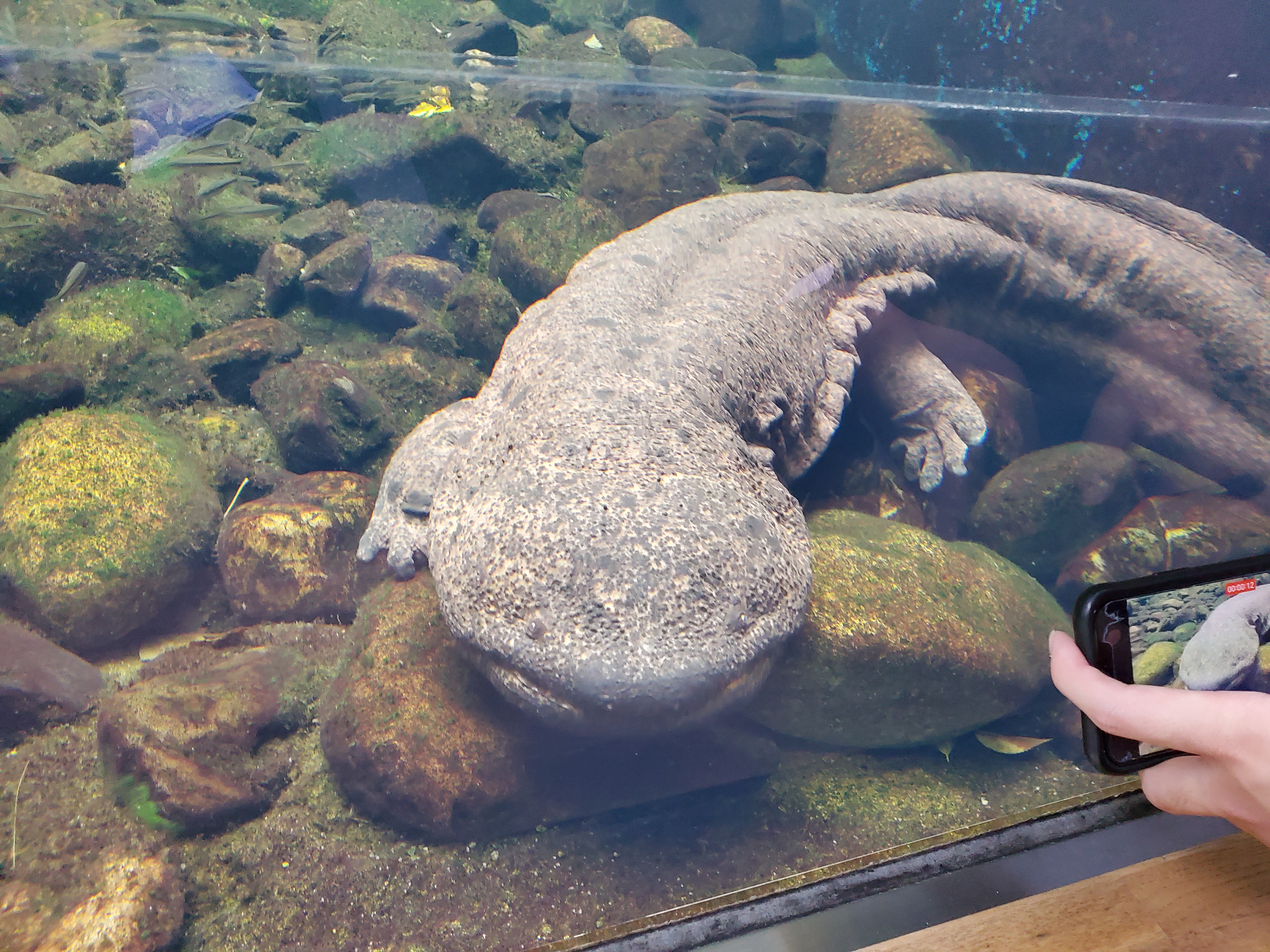 プロフィールアイコン